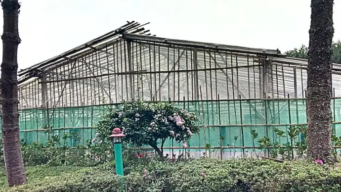 green house bunga