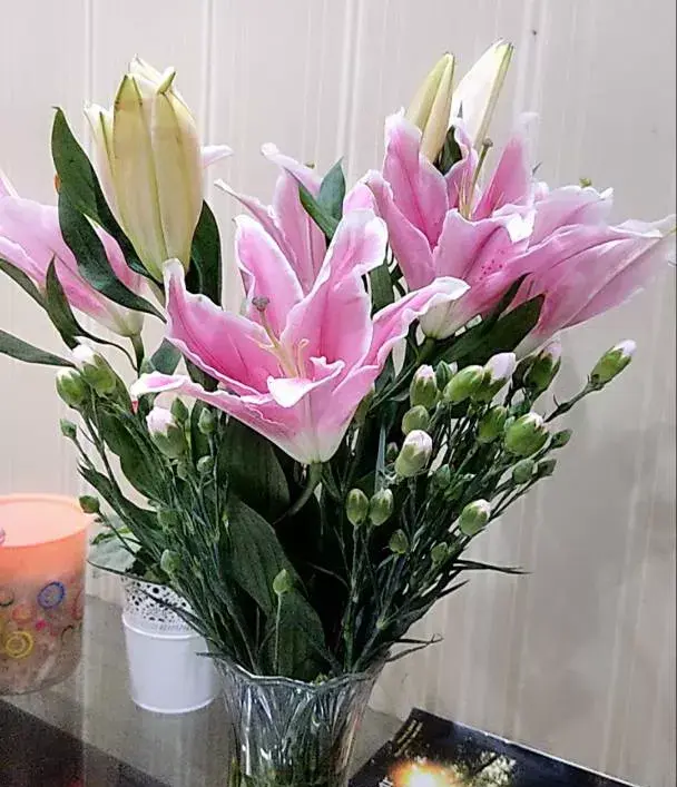 casablanca lily