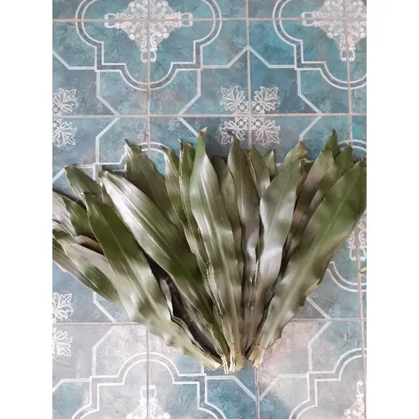 andong besi hijau